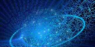 The Importance of Investor Protection and Enforcement in Today’s Market the-mportance-of-nvestor-protection-and-enforcement-in-todays-market