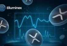 Top 3 Coins to Add to Your 2025 Portfolio for Success top-3-coins-to-add-to-your-2025-portfolio-for-success