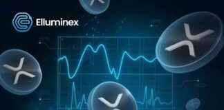 Top 3 Coins to Add to Your 2025 Portfolio for Success top-3-coins-to-add-to-your-2025-portfolio-for-success