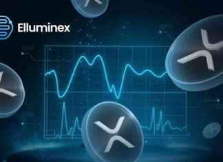 Top 3 Coins to Add to Your 2025 Portfolio for Success top-3-coins-to-add-to-your-2025-portfolio-for-success