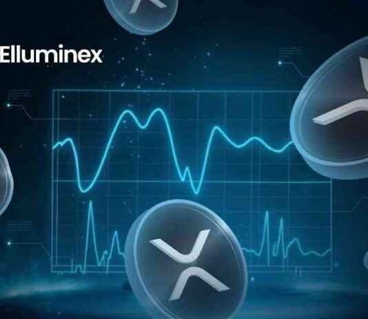 Top 3 Coins to Add to Your 2025 Portfolio for Success top-3-coins-to-add-to-your-2025-portfolio-for-success