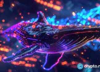 Trump Family Meme Coins Cause Decline in Whale Population trump-family-meme-coins-cause-decline-in-whale-population