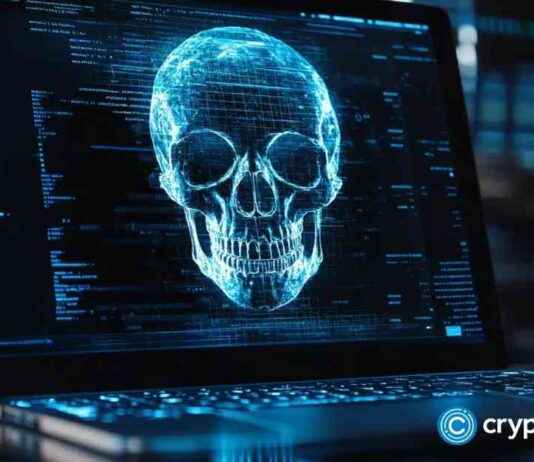 Uncovering the Top Dark Web Cybercrime Forum in the Crypto World uncovering-the-top-dark-web-cybercrime-forum-in-the-crypto-world