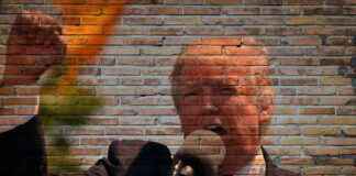 Bitcoin Price Plummets as Trump Launches Trade War bitcoin-price-plummets-as-trump-launches-trade-war