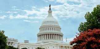 Blueprint for Cryptocurrency Market Organization blueprint-for-cryptocurrency-market-organization