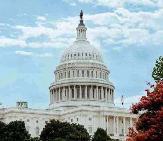 Blueprint for Cryptocurrency Market Organization blueprint-for-cryptocurrency-market-organization