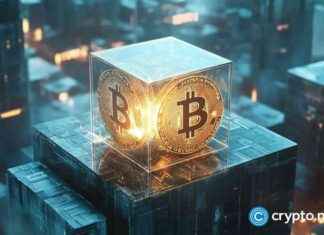 Brazilian National Sentenced for $290m Bitcoin Scam brazilian-national-sentenced-for-290m-bitcoin-scam