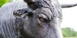 BTC Bull Market Continues: 200-Week Average Trends Show Bitcoin Growth btc-bull-market-continues-200-week-average-trends-show-bitcoin-growth