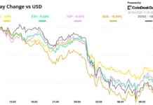 BTC Price Meltdown: Crypto Daybook Americas Update btc-price-meltdown-crypto-daybook-americas-update