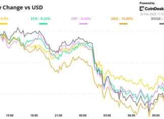 BTC Price Meltdown: Crypto Daybook Americas Update btc-price-meltdown-crypto-daybook-americas-update