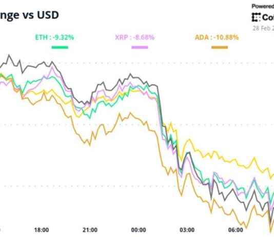 BTC Price Meltdown: Crypto Daybook Americas Update btc-price-meltdown-crypto-daybook-americas-update