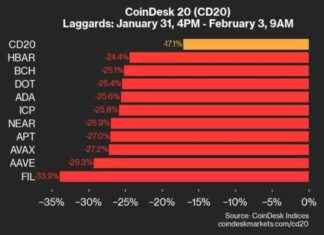 CoinDesk 20 Index Plunges 17.1% Weekend Performance Update coindesk-20-ndex-plunges-171-weekend-performance-update