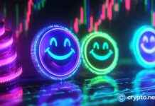 Comparing BeerBear and Dogecoin in Meme Coin Market Trends comparing-beerbear-and-dogecoin-in-meme-coin-market-trends