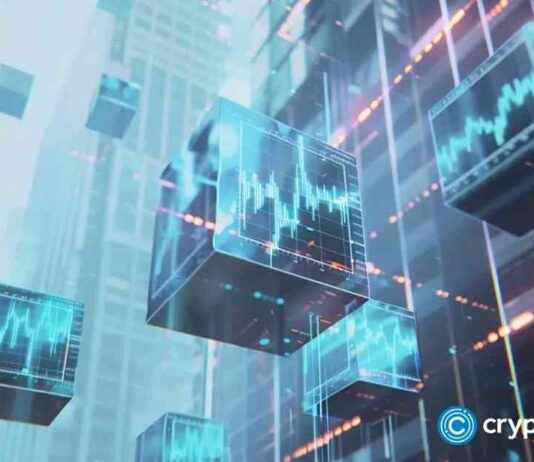 customized-crypto-options-service-by-dwf-labs
