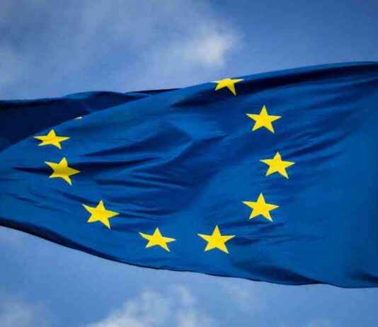 ECB’s Fiat Currency Settlement System for Distributed-Ledger Transactions ecbs-fiat-currency-settlement-system-for-distributed-ledger-transactions