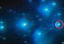 Ethereum Pectra Upgrade Testing Starts February ethereum-pectra-upgrade-testing-starts-february