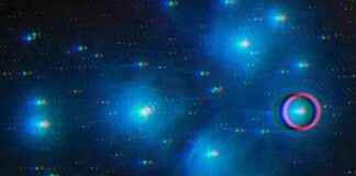 Ethereum Pectra Upgrade Testing Starts February ethereum-pectra-upgrade-testing-starts-february