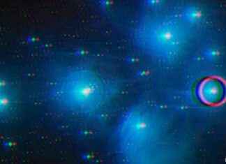 Ethereum Pectra Upgrade Testing Starts February ethereum-pectra-upgrade-testing-starts-february