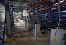 hashflare-co-founders-plead-guilty-in-577m-ponzi-scheme