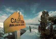 Increased Wallet Accumulation for Wrapped AVAX (WAVAX) Post Bybit Card Cashback Adoption ncreased-wallet-accumulation-for-wrapped-avax-wavax-post-bybit-card-cashback-adoption