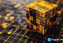 Investors Favor RBLK Over BNB for Stability nvestors-favor-rblk-over-bnb-for-stability