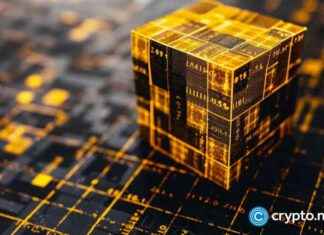 Investors Favor RBLK Over BNB for Stability nvestors-favor-rblk-over-bnb-for-stability