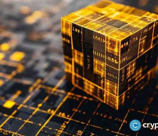 Investors Favor RBLK Over BNB for Stability nvestors-favor-rblk-over-bnb-for-stability