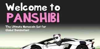 Panshibi: Coinbase Listing Could Explode Meme 25x by March panshibi-coinbase-listing-could-explode-meme-25x-by-march