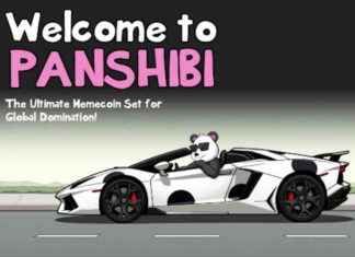 Panshibi: Coinbase Listing Could Explode Meme 25x by March panshibi-coinbase-listing-could-explode-meme-25x-by-march