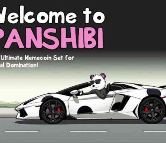 Panshibi: Coinbase Listing Could Explode Meme 25x by March panshibi-coinbase-listing-could-explode-meme-25x-by-march