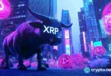 Potential 200% XRP Price Increase with New Rival Surge potential-200-xrp-price-ncrease-with-new-rival-surge