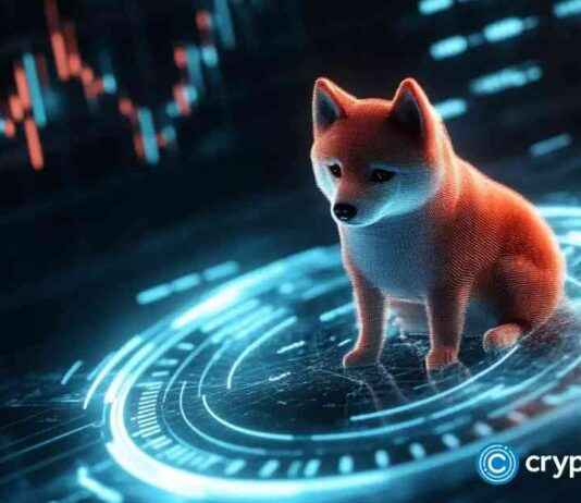 presale-token-matching-shiba-nu-rally-target