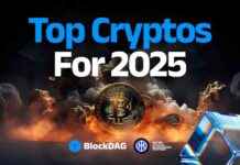 Top 4 Crypto Gems to Buy Today: BDAG, BNB, SHIB & POL – Huge Growth Potential in 2022 top-4-crypto-gems-to-buy-today-bdag-bnb-shb-pol-huge-growth-potential-in-2022