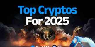 Top 4 Crypto Gems to Buy Today: BDAG, BNB, SHIB & POL – Huge Growth Potential in 2022 top-4-crypto-gems-to-buy-today-bdag-bnb-shb-pol-huge-growth-potential-in-2022