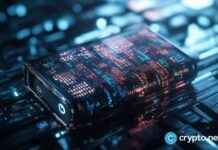 XBO Crypto Exchange to Sponsor Argentina National Football Team xbo-crypto-exchange-to-sponsor-argentina-national-football-team