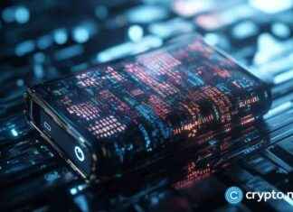 XBO Crypto Exchange to Sponsor Argentina National Football Team xbo-crypto-exchange-to-sponsor-argentina-national-football-team