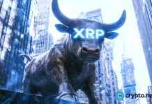 XRP Ledger Dominates Crypto Market with SOLO Surge xrp-ledger-dominates-crypto-market-with-solo-surge