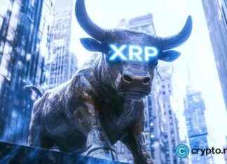 XRP Ledger Dominates Crypto Market with SOLO Surge xrp-ledger-dominates-crypto-market-with-solo-surge