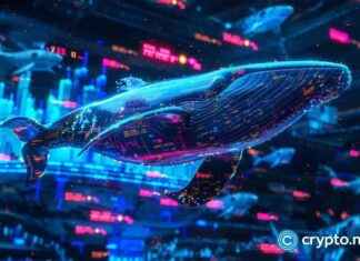 ADA whales shifting to AI crypto for better returns ada-whales-shifting-to-a-crypto-for-better-returns