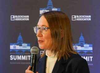 Analyzing SEC Commissioner Hester Peirce’s Crypto Task Force Plan analyzing-sec-commissioner-hester-peirces-crypto-task-force-plan