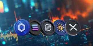 Best American Altcoins to Invest in During Trump Pump and Dump best-american-altcoins-to-nvest-in-during-trump-pump-and-dump