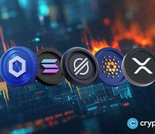 Best American Altcoins to Invest in During Trump Pump and Dump best-american-altcoins-to-nvest-in-during-trump-pump-and-dump