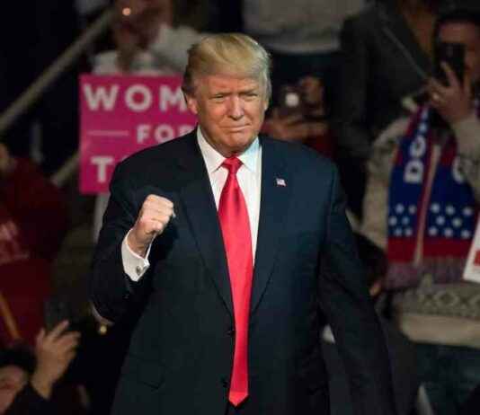 Wednesday’s Cryptocurrency Updates: Minor Losses Reported wednesdays-cryptocurrency-updates-minor-losses-reported