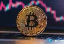 Bitcoin Price Reaches $95k: BitBoard and Clash of Lilliput Gain Attention bitcoin-price-reaches-95k-bitboard-and-clash-of-lilliput-gain-attention