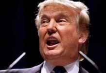 crypto-market-update-300m-liquidations-amid-trump-tariff-threats