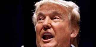 Crypto Market Update: $300M Liquidations Amid Trump Tariff Threats crypto-market-update-300m-liquidations-amid-trump-tariff-threats