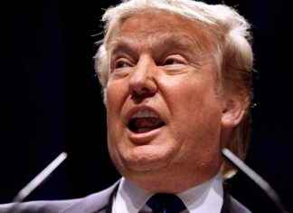 Crypto Market Update: $300M Liquidations Amid Trump Tariff Threats crypto-market-update-300m-liquidations-amid-trump-tariff-threats