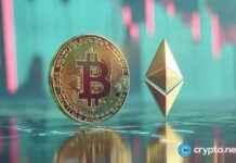 Cryptocurrency ETFs Experience Record Inflows in 2021 cryptocurrency-etfs-experience-record-nflows-in-2021