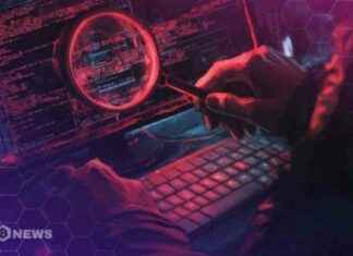 How Binance and Kraken Prevent Data Breaches with Robust Security Measures how-binance-and-kraken-prevent-data-breaches-with-robust-security-measures