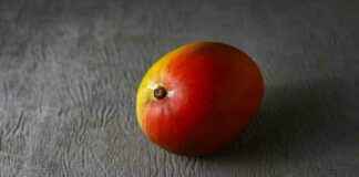 Mango Markets Exploiter’s Crypto Fraud Convictions Overturned – Judge Ruling mango-markets-exploiters-crypto-fraud-convictions-overturned-judge-ruling